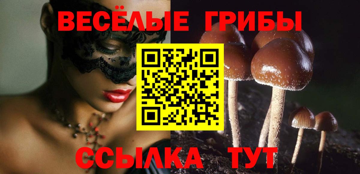 Ейск  Галлюциногенные грибы GOLDEN TEACHER  Галлюциногенные грибы Psilocybe  Вход с VPN 